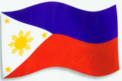 10th Philippine flag