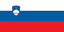 Flag of the the Republic of Slovenia