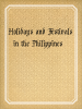 Holidays and Festivals in the Philippines